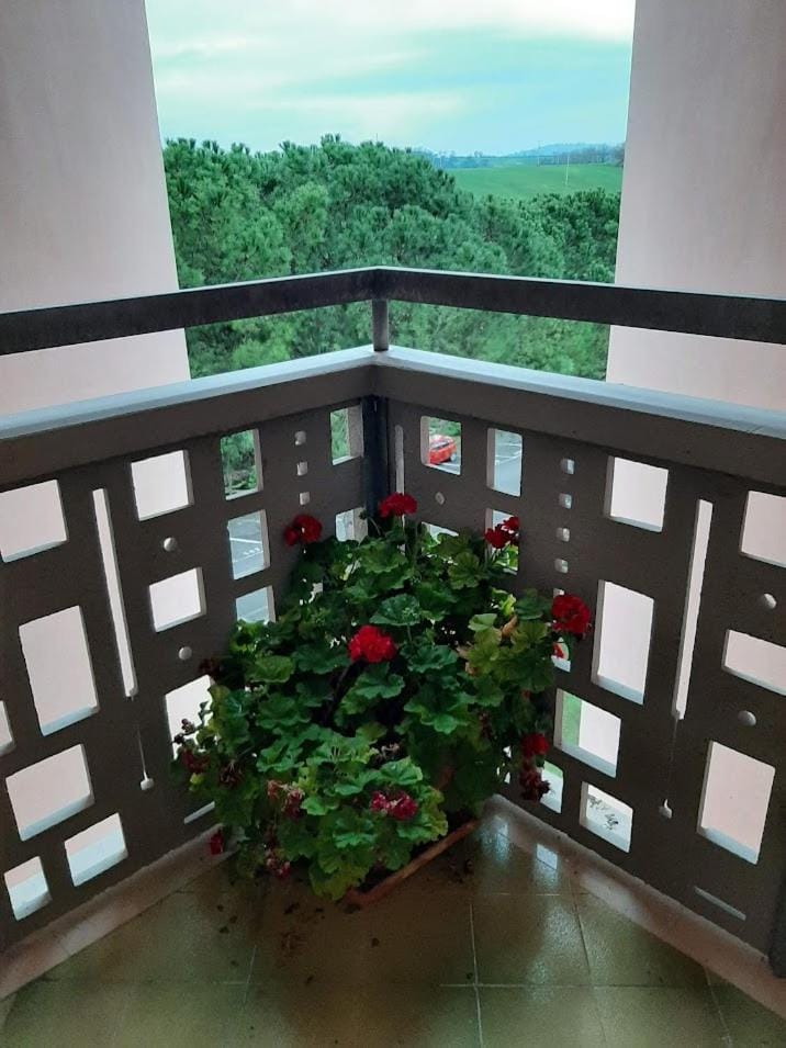 ConeroMareRelax Apartment in Marcelli