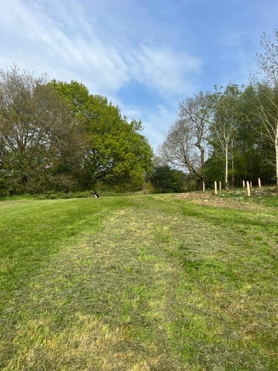 The Wren Apartment in South Derbyshire District