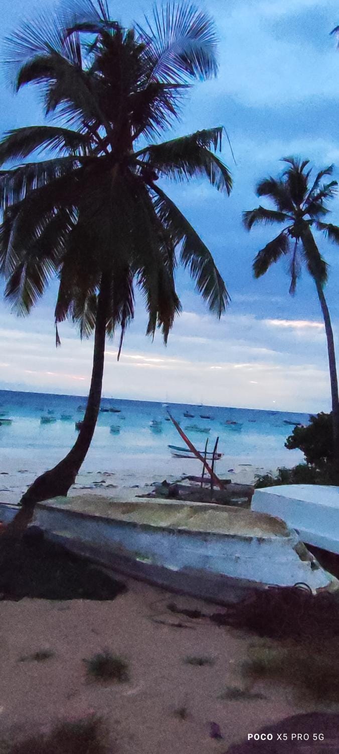 Natural landscape, Beach