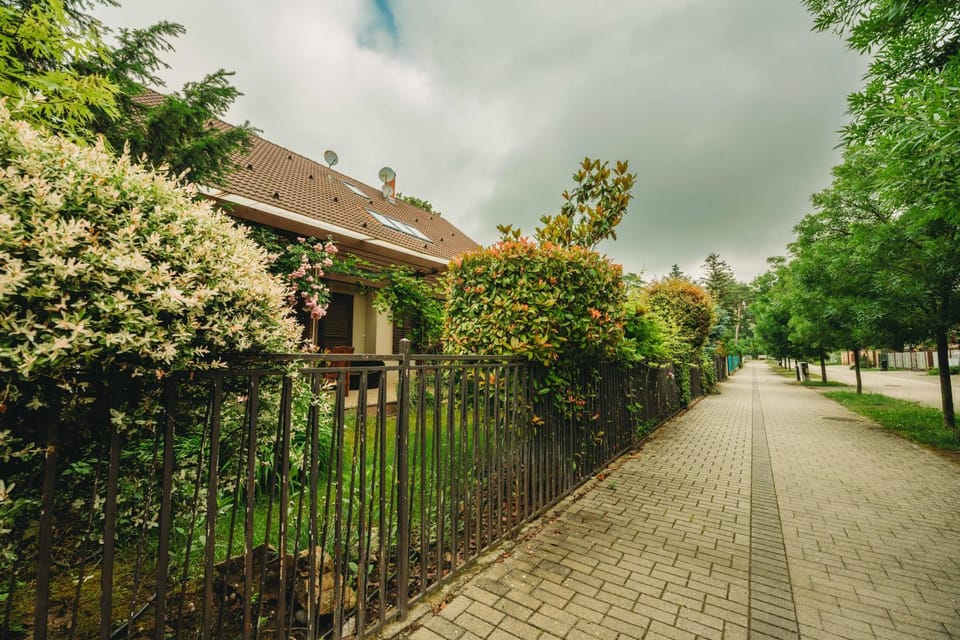 Garden, Street view