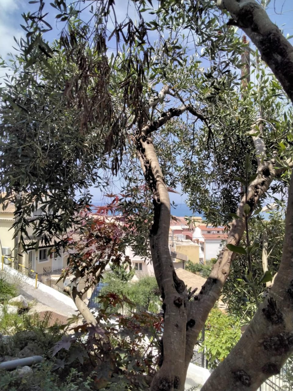Natural landscape