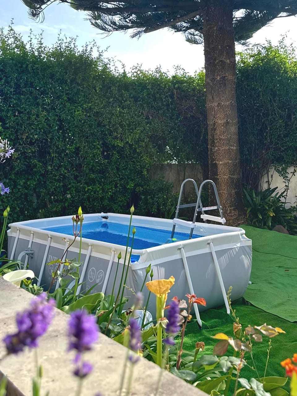 Garden, Garden view, Swimming pool, Swimming pool