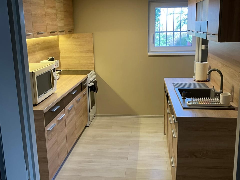 Kitchen or kitchenette, dishwasher, minibar, pet friendly, stove