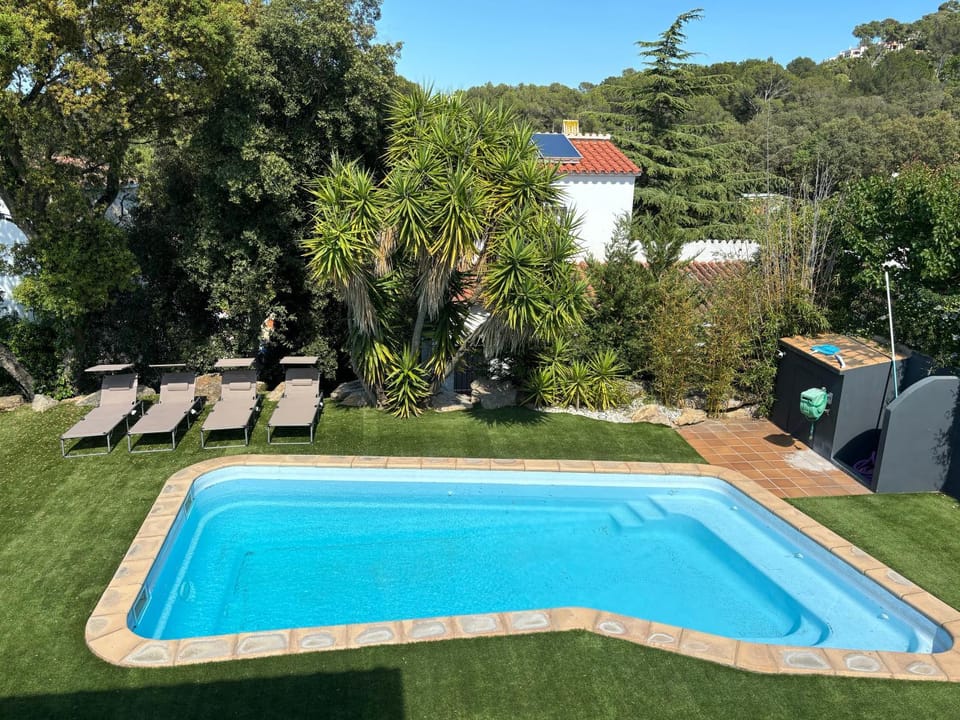 Summer, Garden, Swimming pool, sunbed