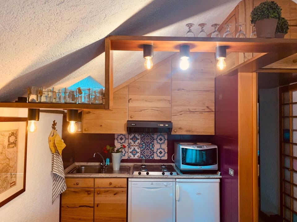 Kitchen or kitchenette, dishwasher, minibar, pet friendly, stove