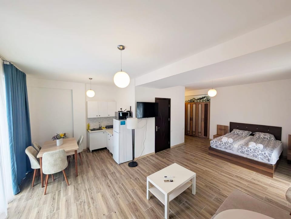 Bed, TV and multimedia, Kitchen or kitchenette, Living room, Photo of the whole room, Bedroom