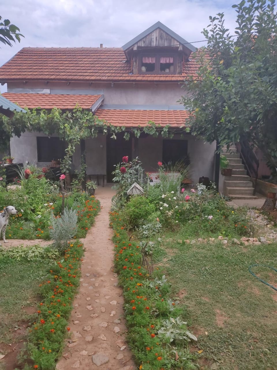 Property building, Spring, Garden, Garden view