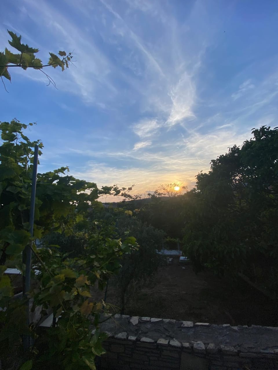 Comfort apartments Apartment in Limenaria