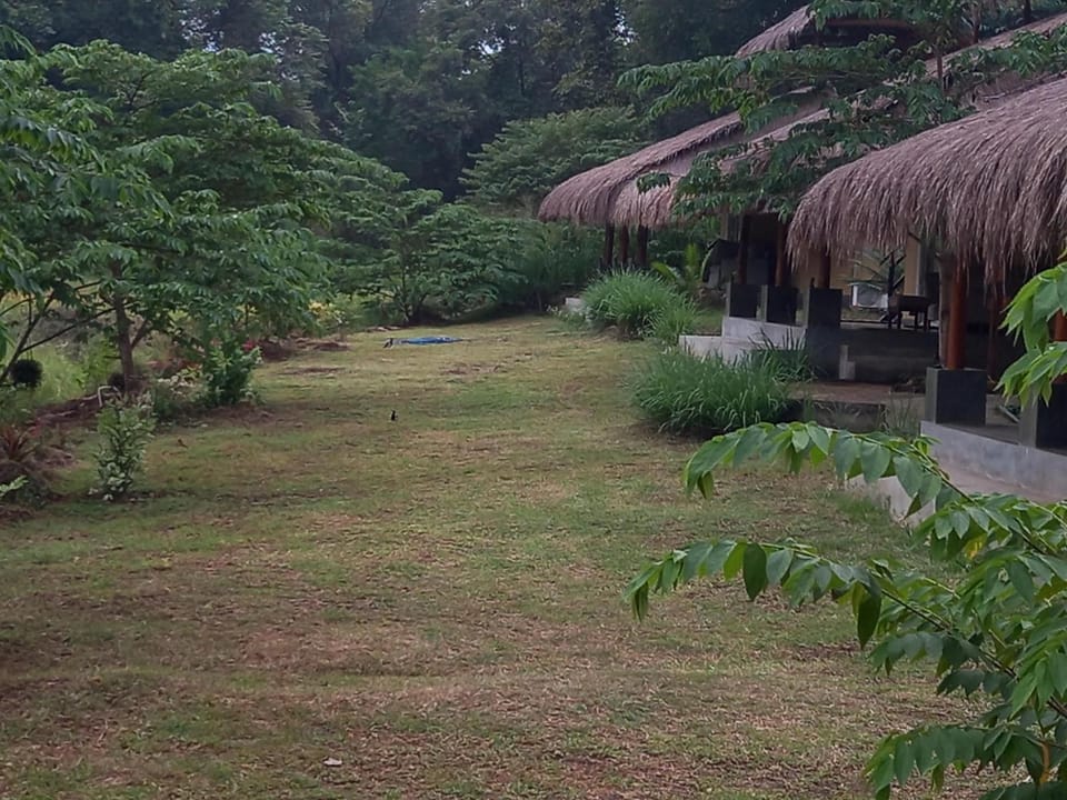 Natural landscape, Garden view