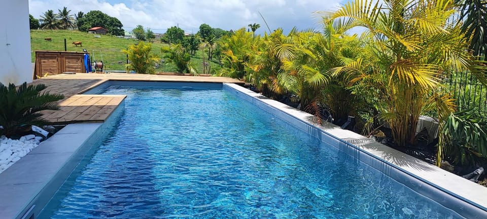 Pool view, Swimming pool