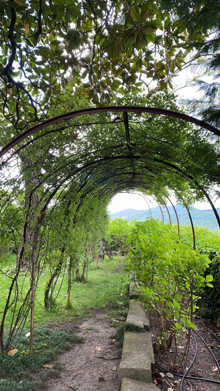 Spring, Natural landscape, Garden, Garden view