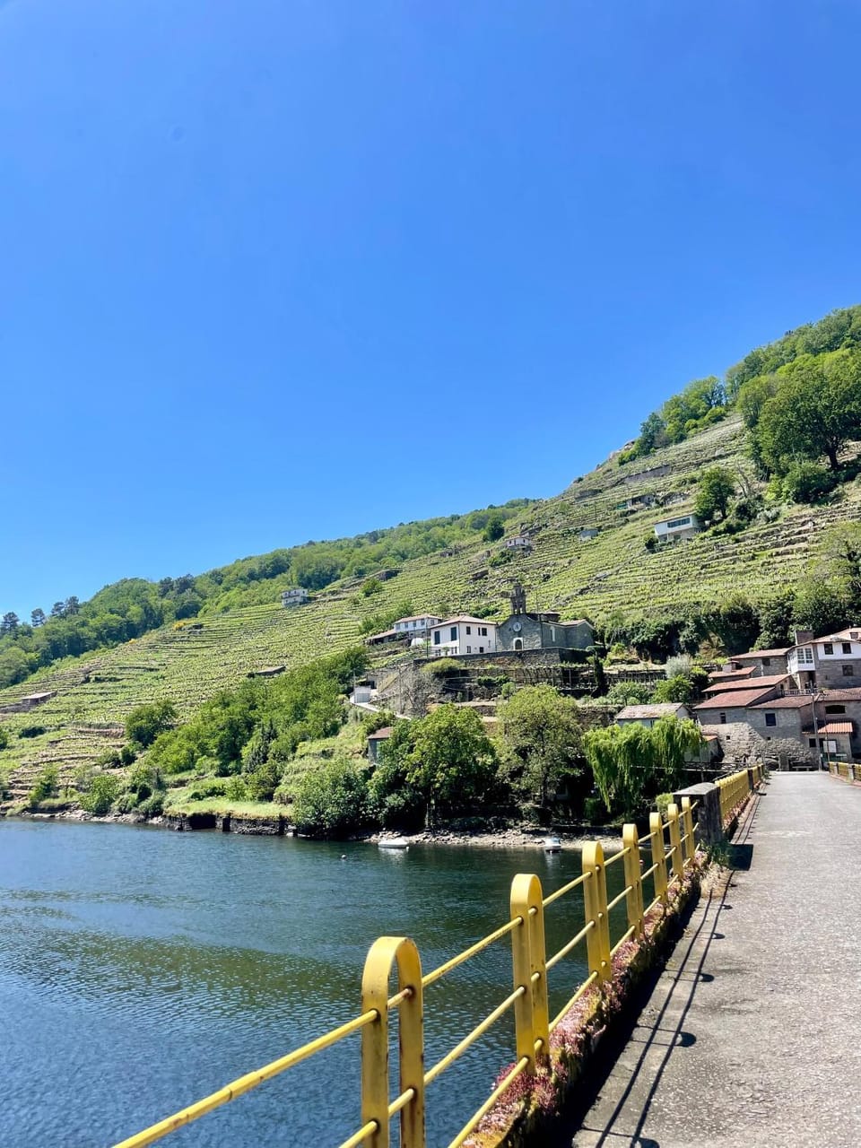 Natural landscape, River view