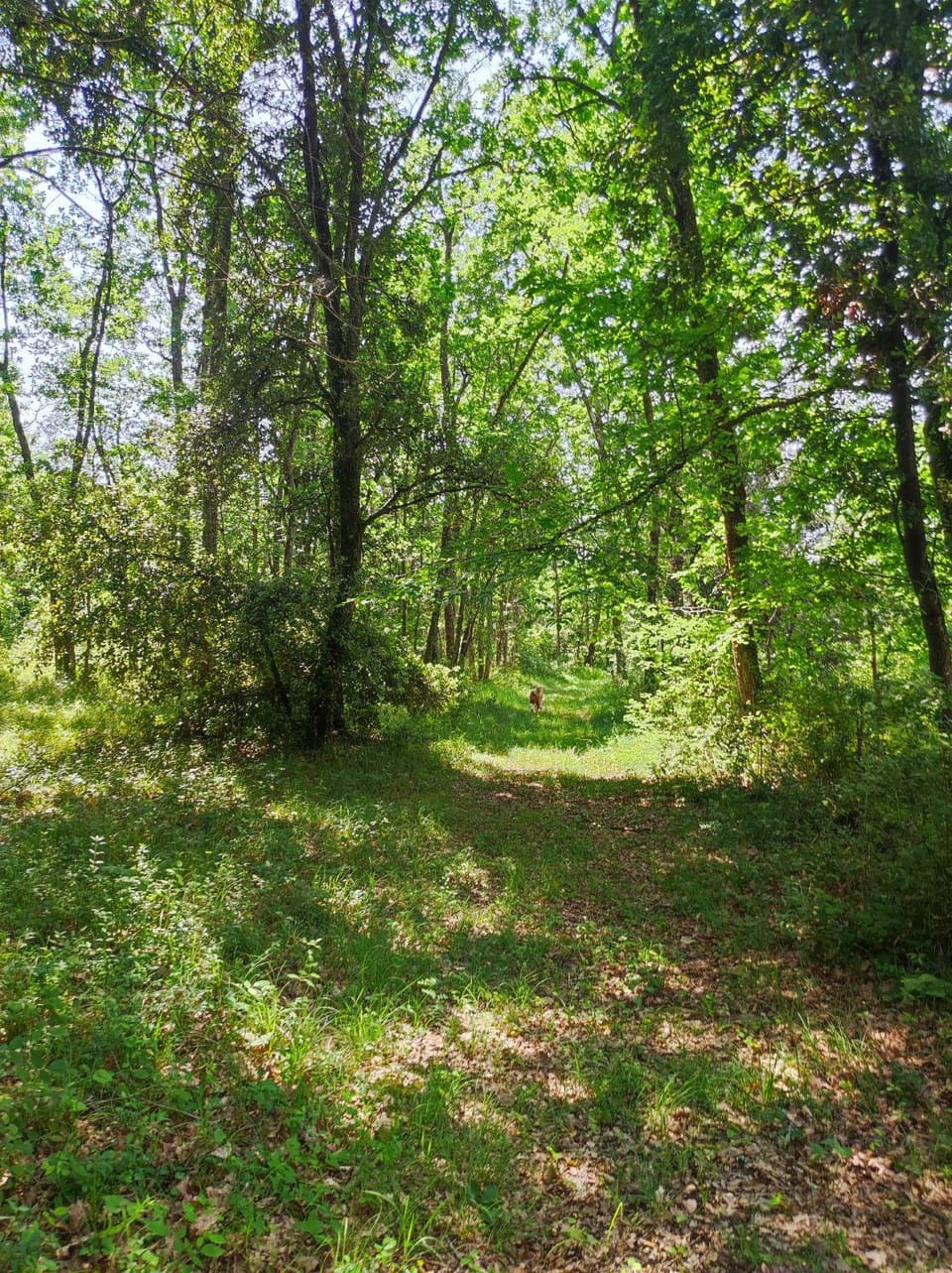 Natural landscape, Hiking