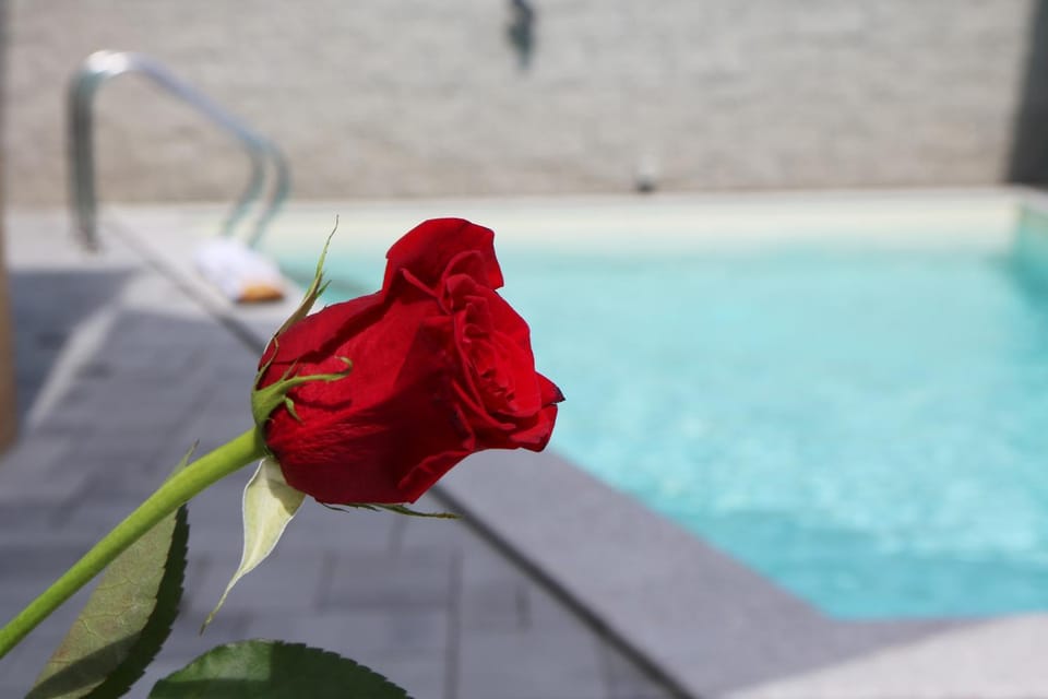 Day, Pool view, Swimming pool