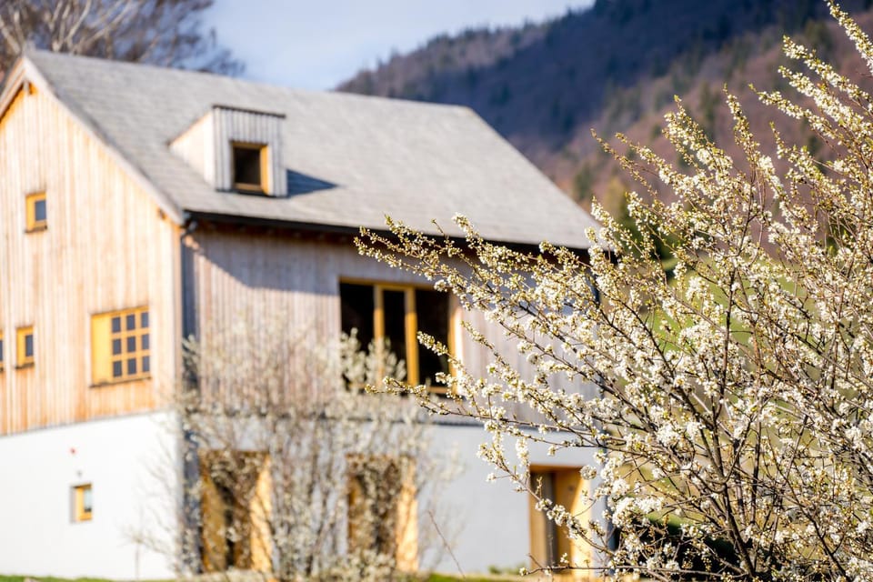 IKI Retreat Magura Chalet in Brașov County