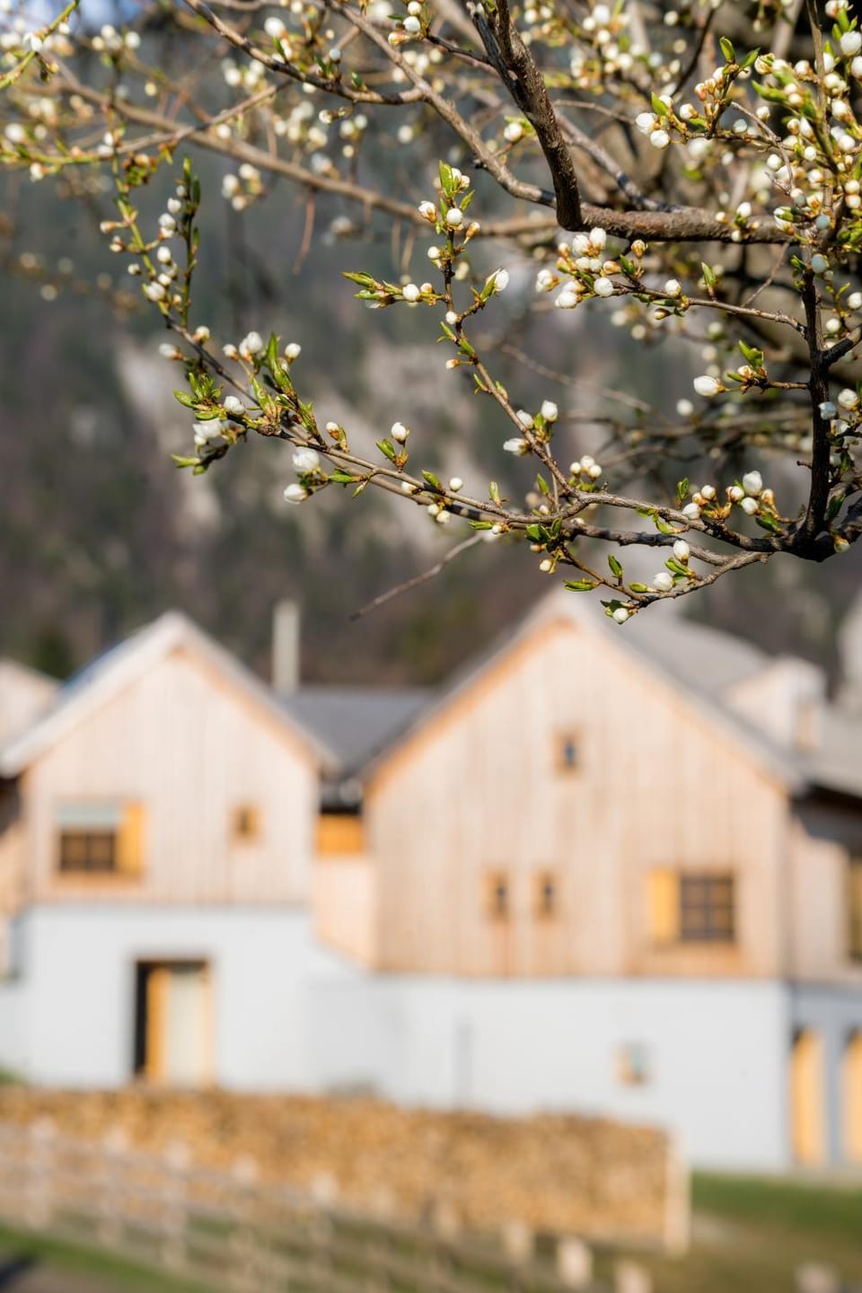 IKI Retreat Magura Chalet in Brașov County