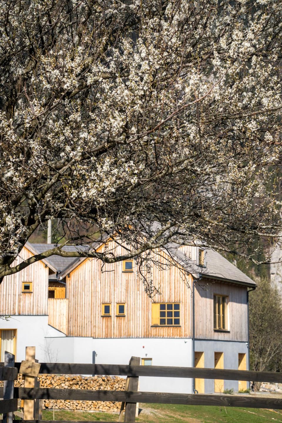 Property building, Spring