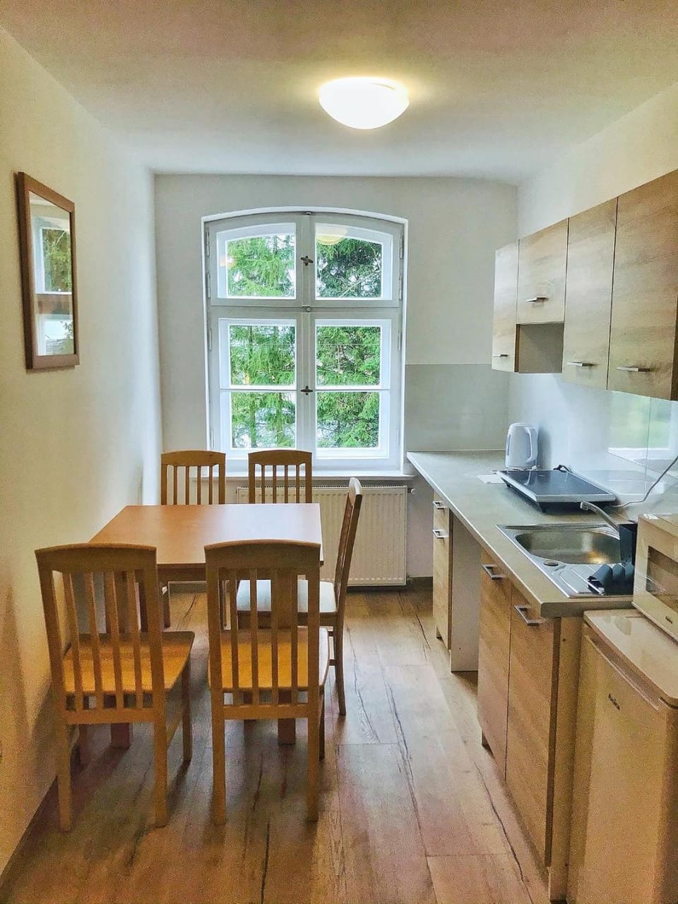 Kitchen or kitchenette