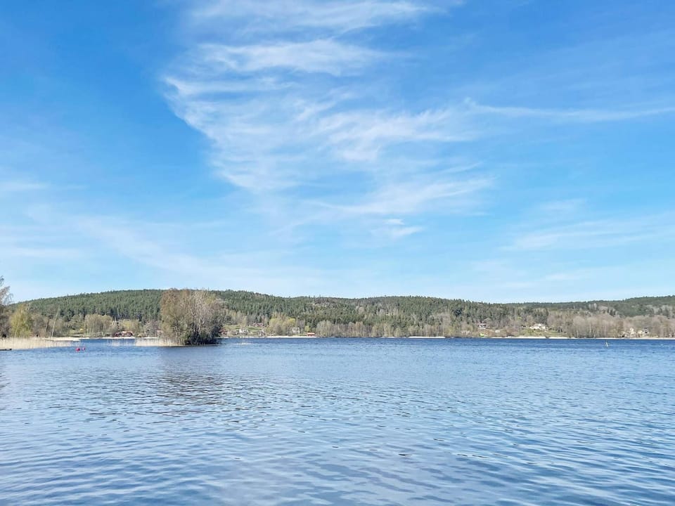 Lake view