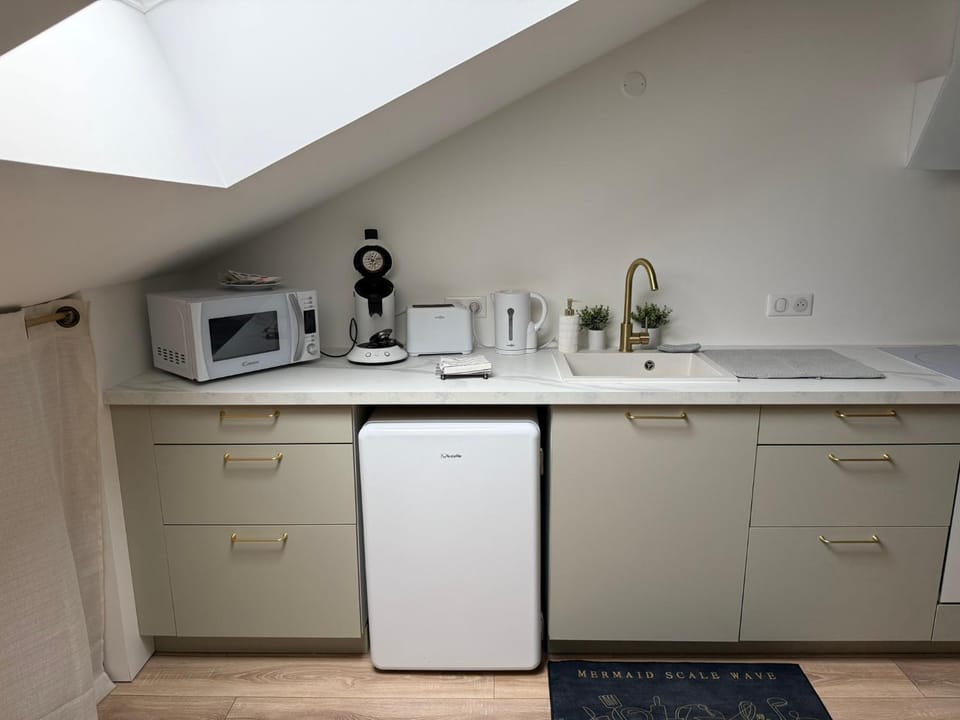 Petite Merveille sous les toits Apartment in Dijon