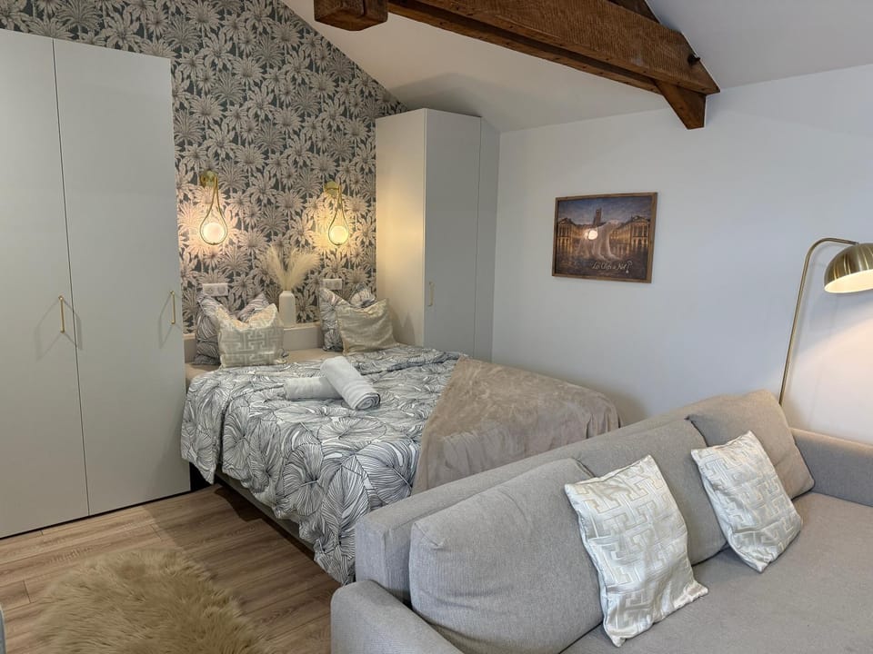 Petite Merveille sous les toits - Centre de Dijon Apartment in Dijon