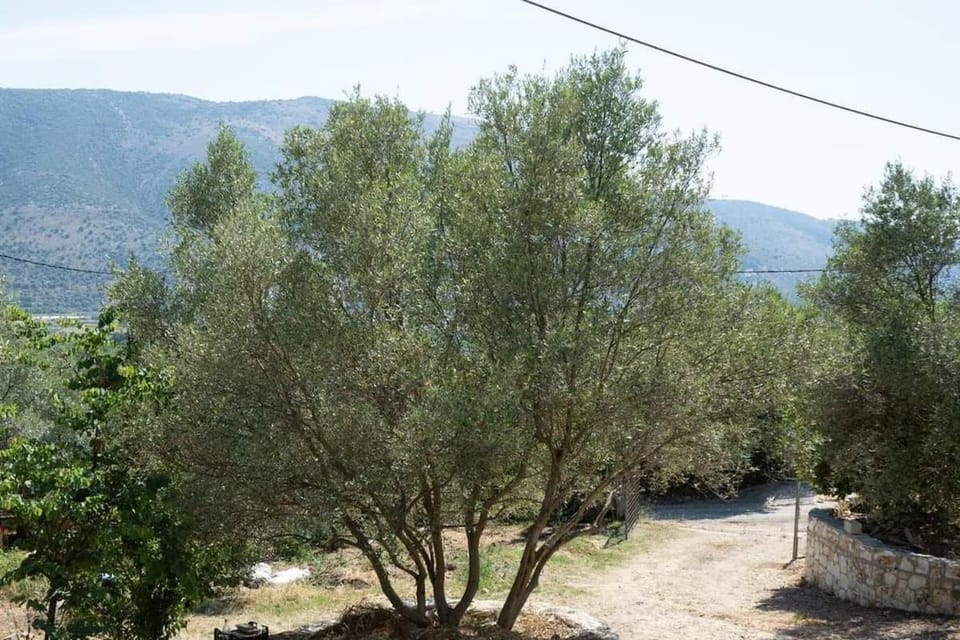 Catherine's House Apartment in Peloponnese, Western Greece and the Ionian