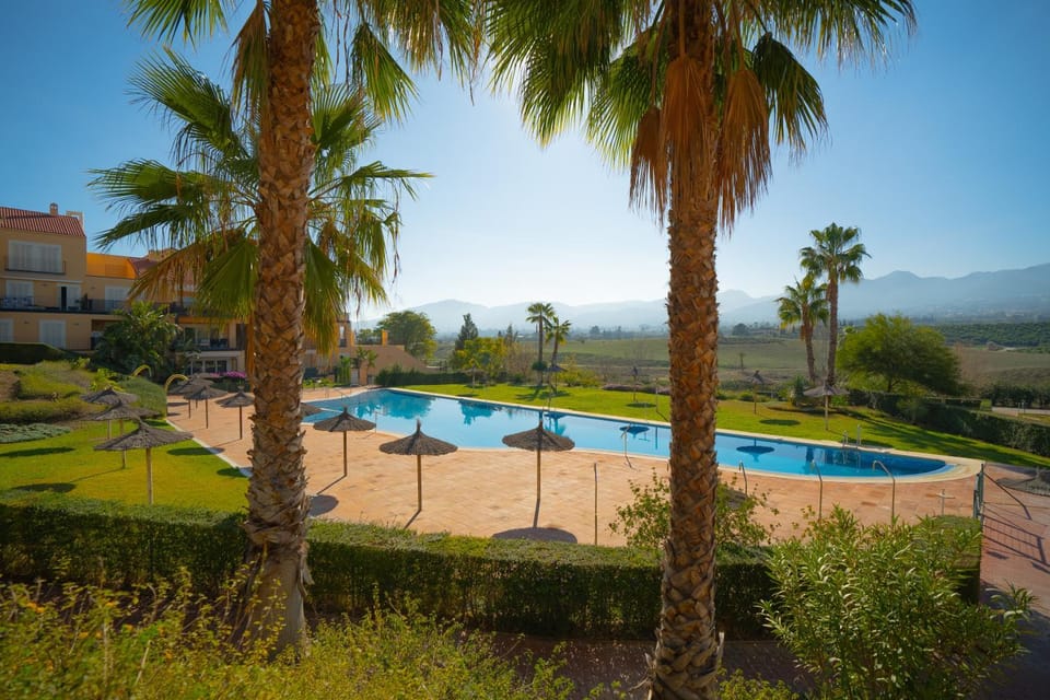 Nearby landmark, Spring, Day, Natural landscape, Garden, Garden view, Mountain view, Pool view, Swimming pool, Swimming pool, sunbed