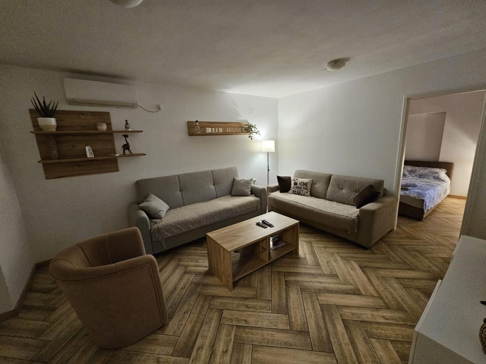Living room, Photo of the whole room, Seating area, air conditioner