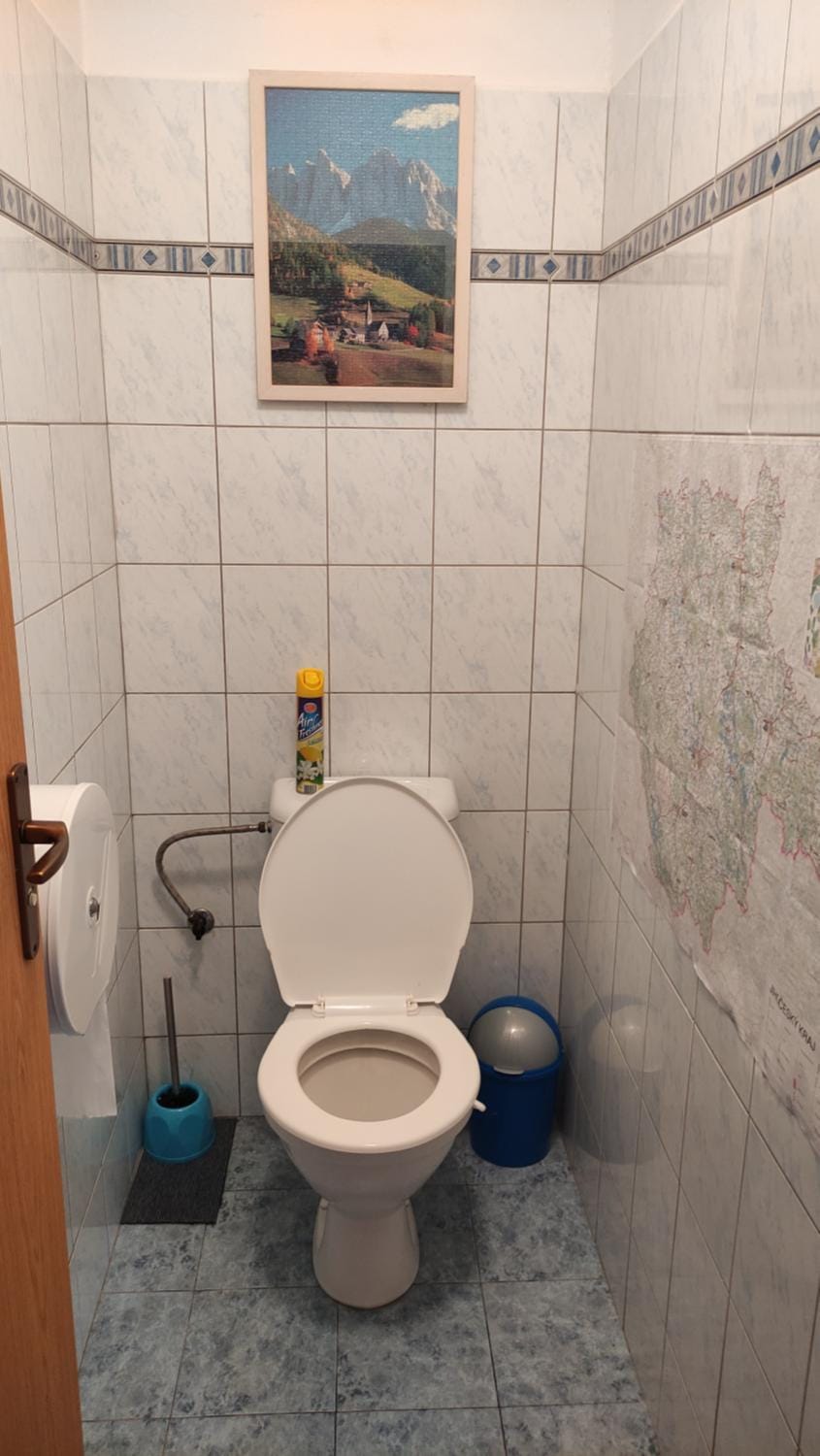 Toilet