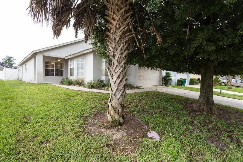 Property building, Natural landscape