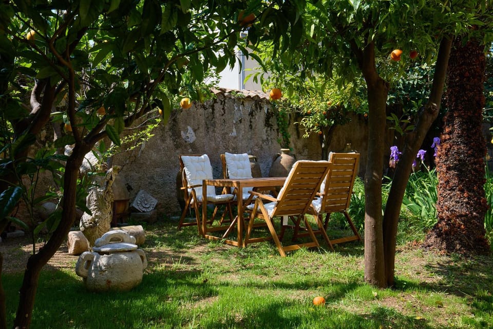Day, Garden, Seating area, Dining area, Garden view, sunbed