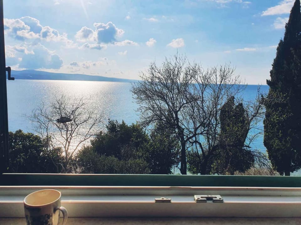 Summer, Lounge or bar, Sea view