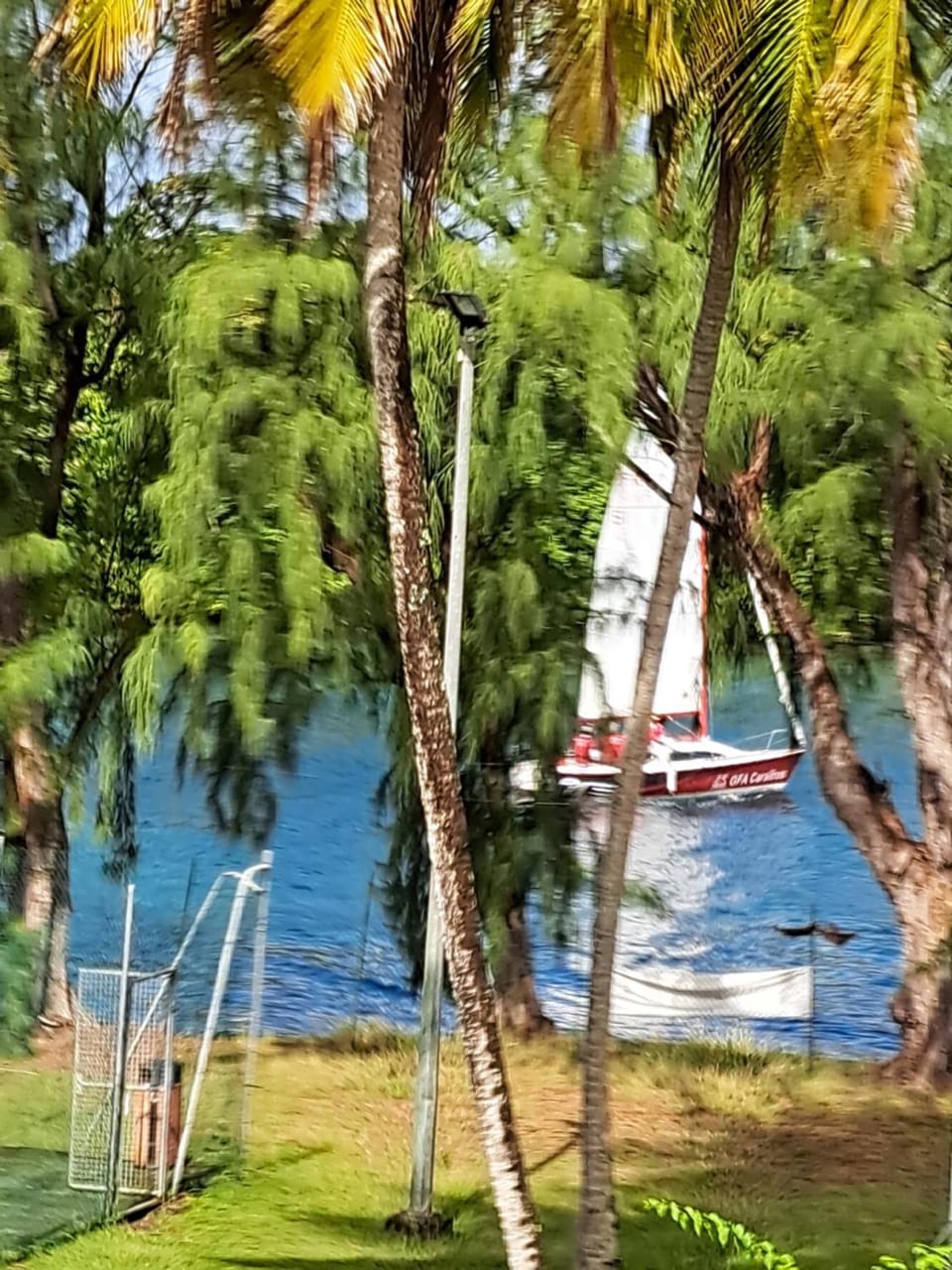 Sea view