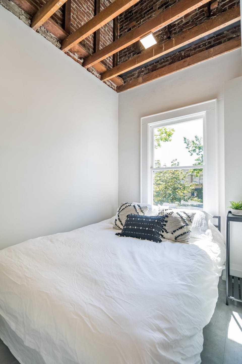 The 505 Eugene Apartment in Eugene