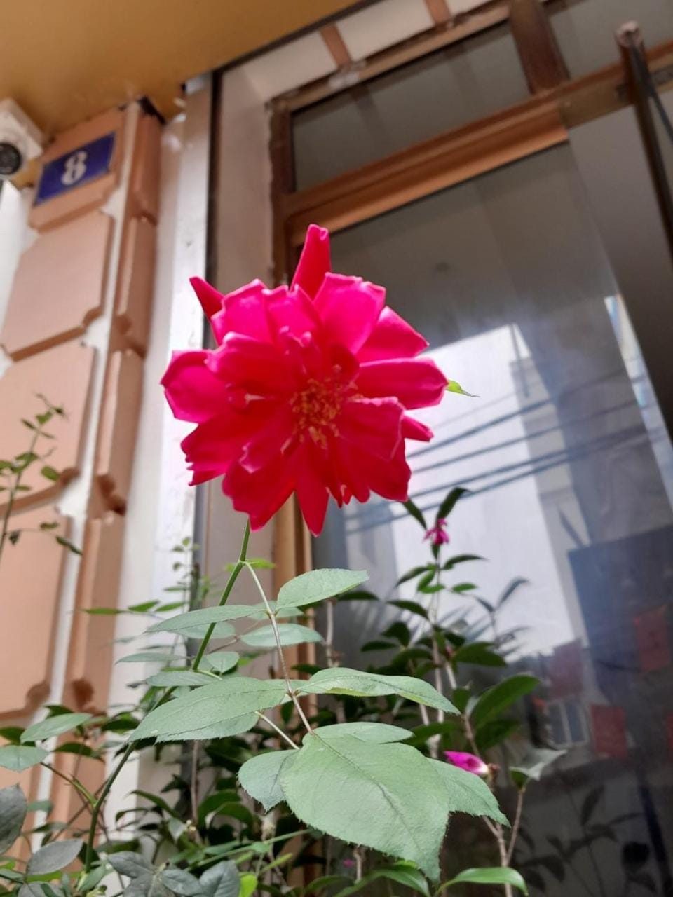 Spring