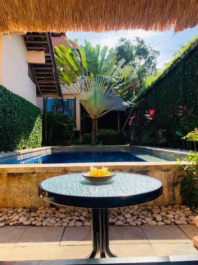 Patio, Day, Garden, Garden view, Pool view, Swimming pool, sunbed