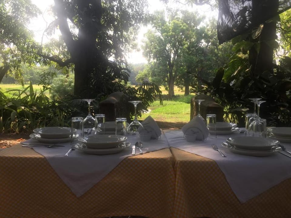 Day, Garden, Food, Garden view