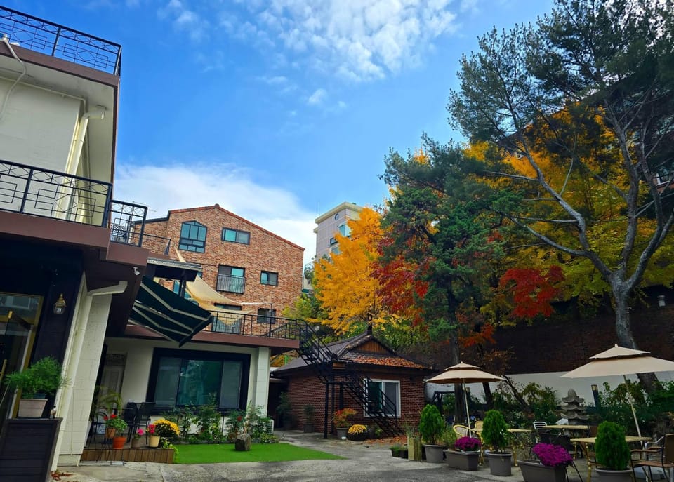 Property building, Neighbourhood, Garden view