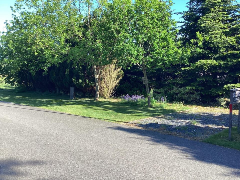 Neighbourhood, Natural landscape, Garden