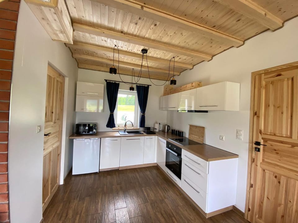 Kitchen or kitchenette, dishwasher, minibar, stove