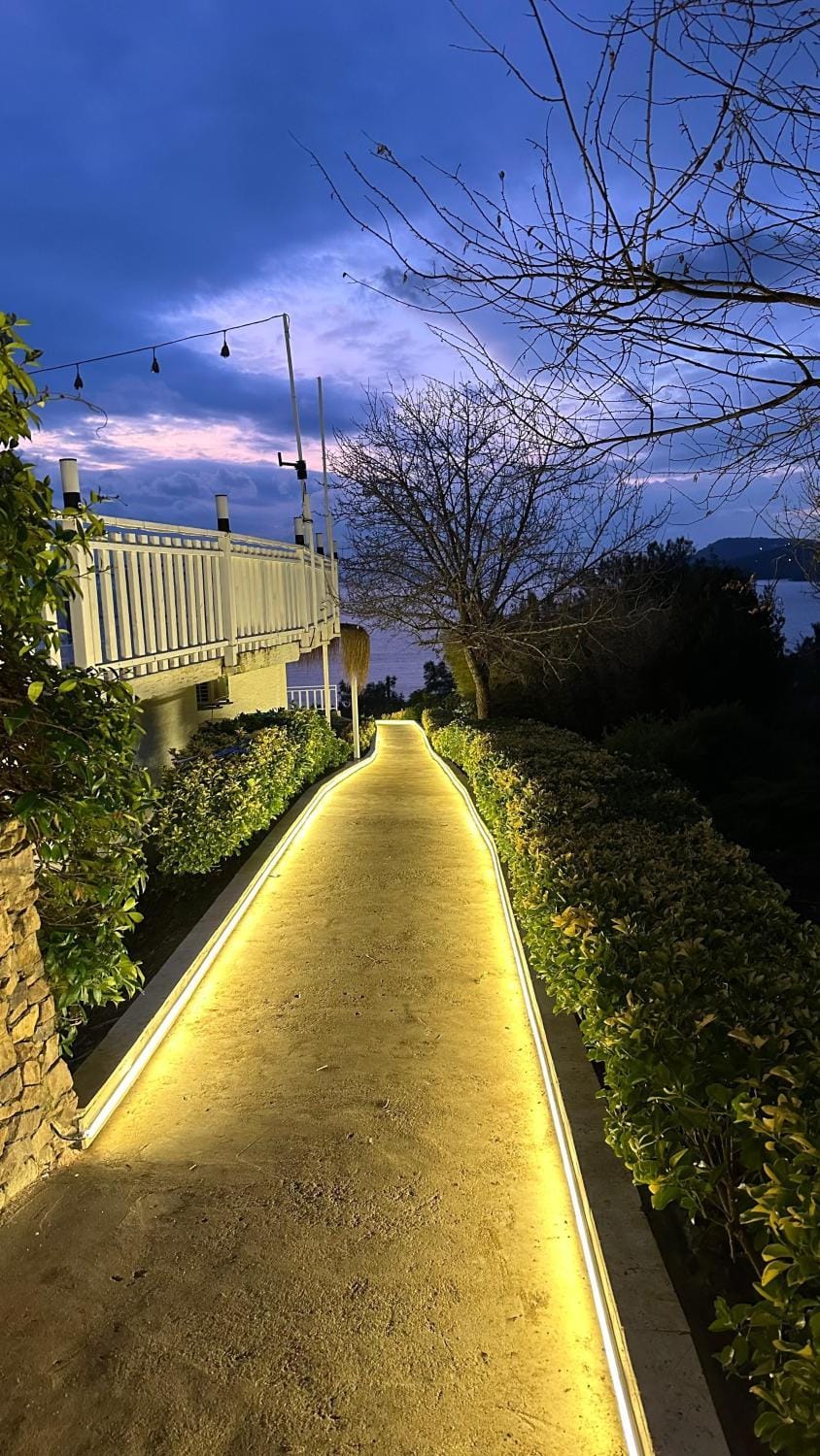 Night, Garden view
