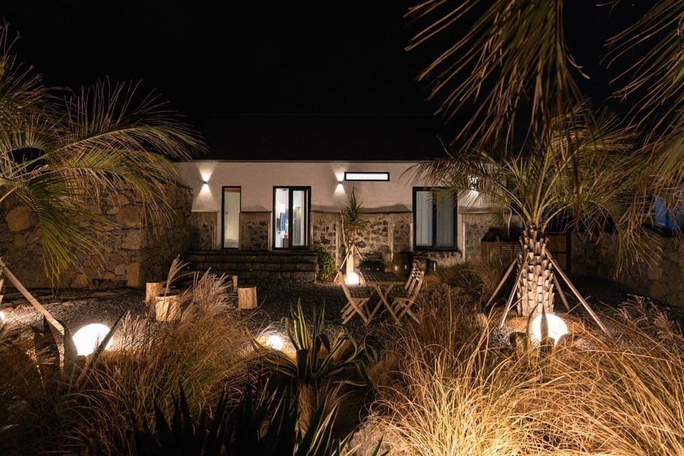 Night, Garden, Garden view