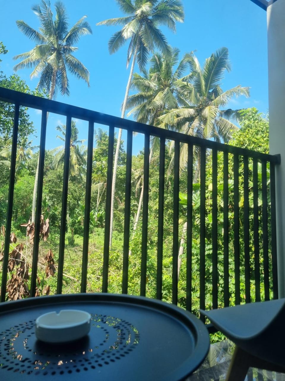 Patio, View (from property/room), Balcony/Terrace, Garden view