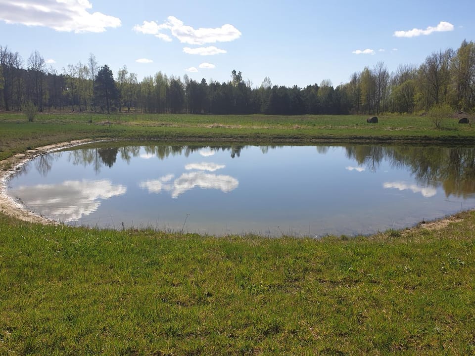 Natural landscape