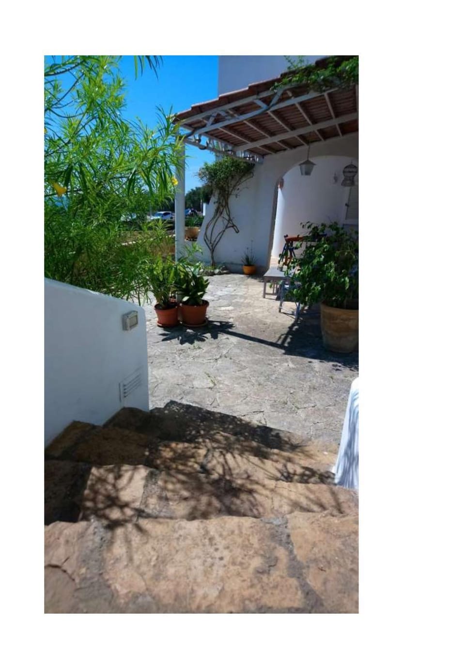 Patio, Garden