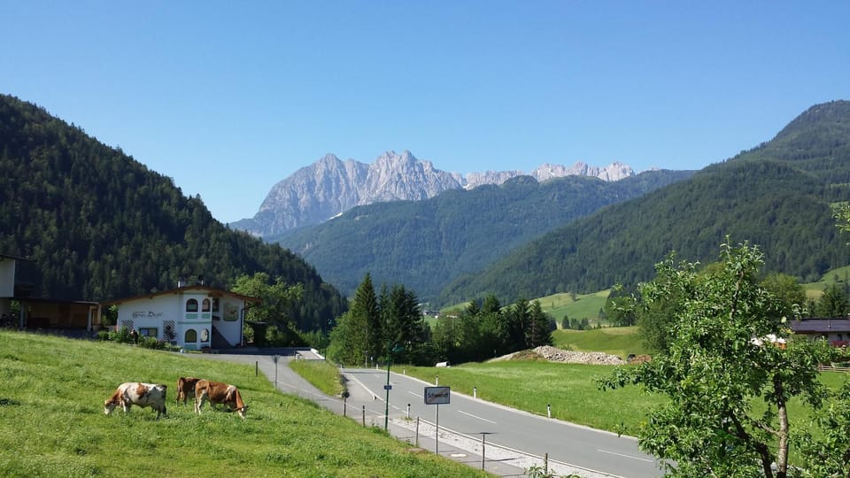 Pension Anneliese Inn in Salzburgerland