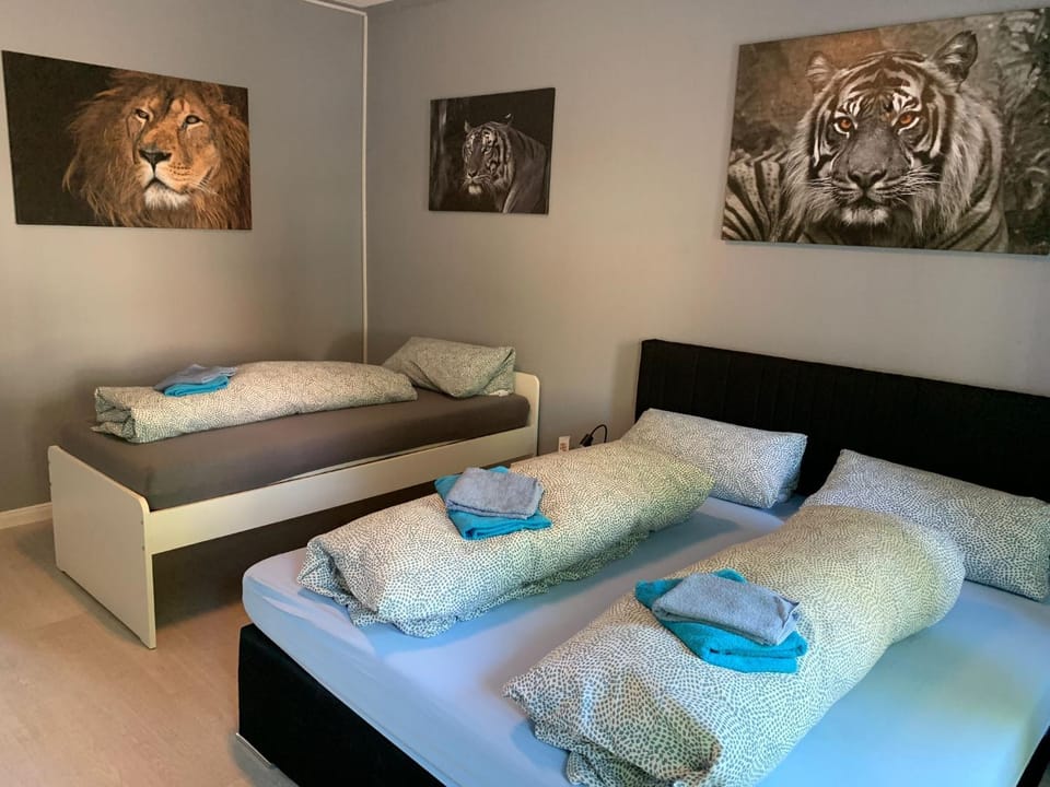 Bed, Photo of the whole room, Bedroom, towels