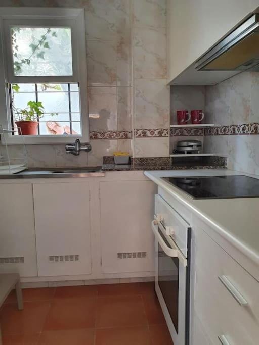 Apartamento Luminoso con Patio y Jardín Apartment in Puerto de la Cruz