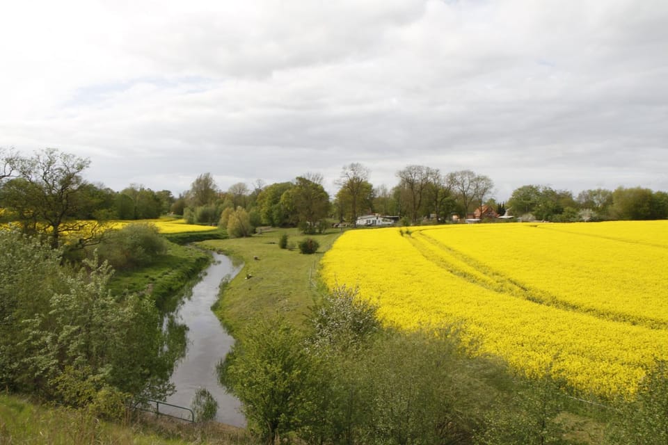 River view