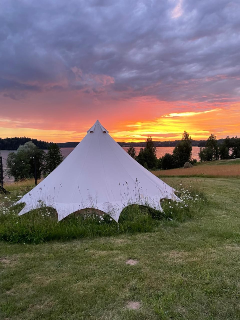 Amberhouse Glempings Luxury tent in Latvia